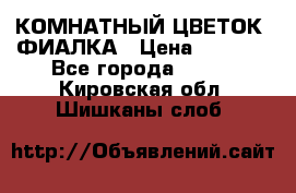 КОМНАТНЫЙ ЦВЕТОК -ФИАЛКА › Цена ­ 1 500 - Все города  »    . Кировская обл.,Шишканы слоб.